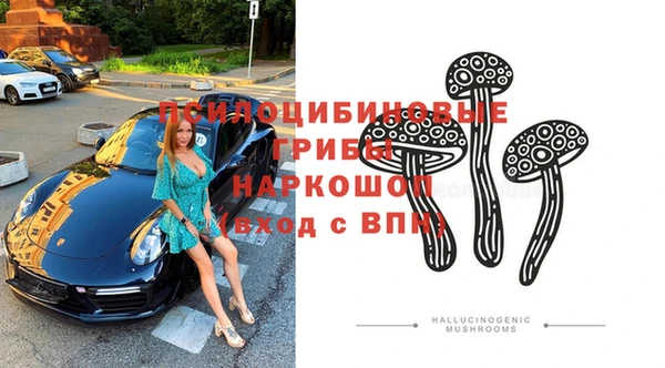 дурь Рославль
