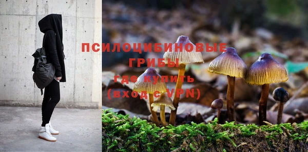 амф Россошь