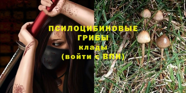 дурь Рославль