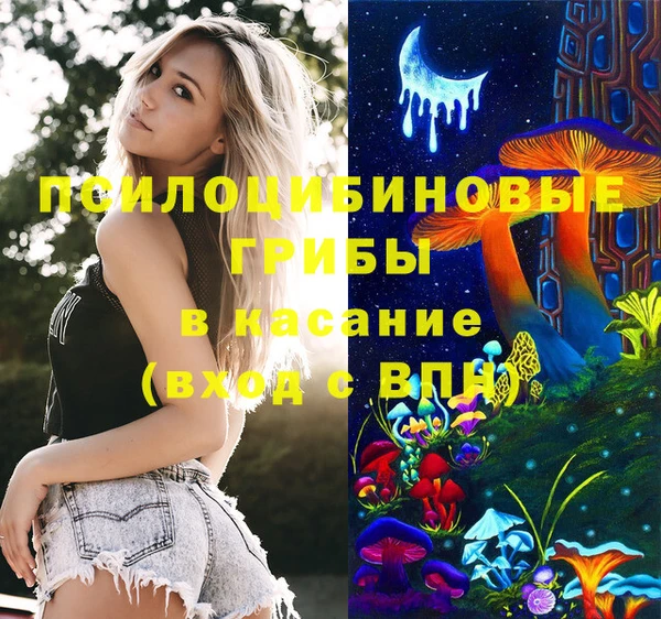 дурь Рославль