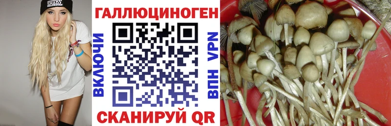 Псилоцибиновые грибы Cubensis  Орехово-Зуево 